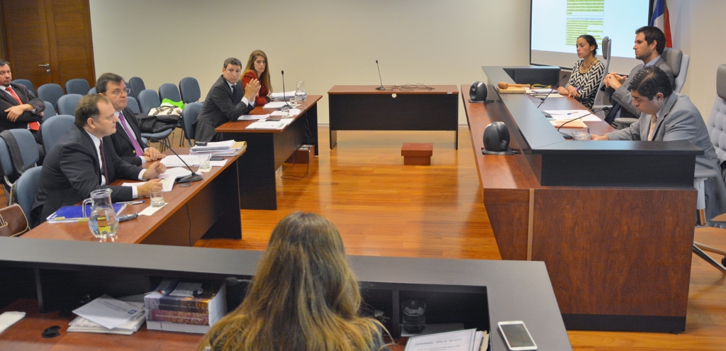 Tribunal Ambiental escuchó alegatos finales en dos demandas por daño ambiental interpuestas en contra de CGE Distribución S.A. por incendios de 2017 Tribunal Ambiental escuchó alegatos finales en dos demandas por daño ambiental interpuestas en contra de CGE Distribución S.A. por incendios de 2017